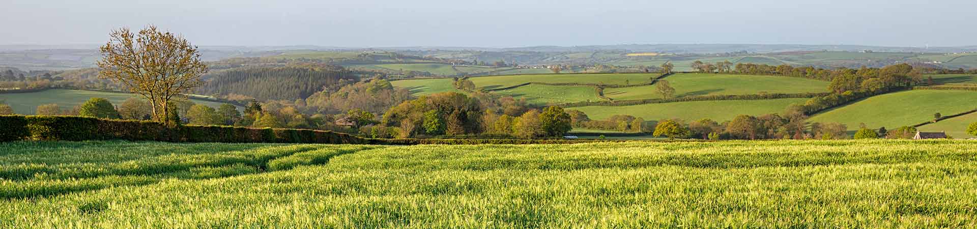 Callington Cottages
