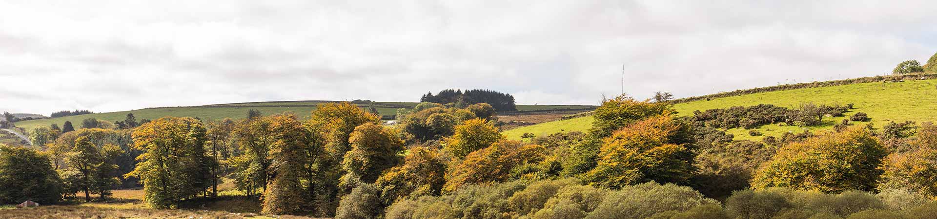 Okehampton Cottages