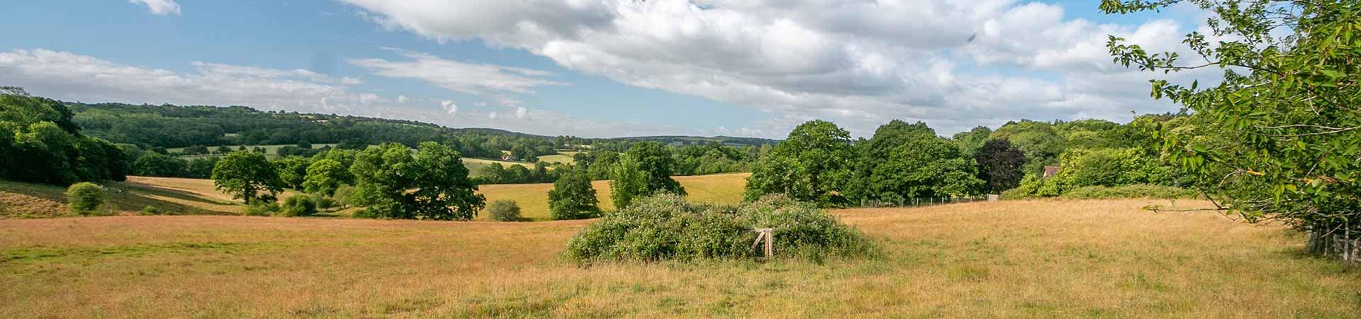 Heathfield Cottages