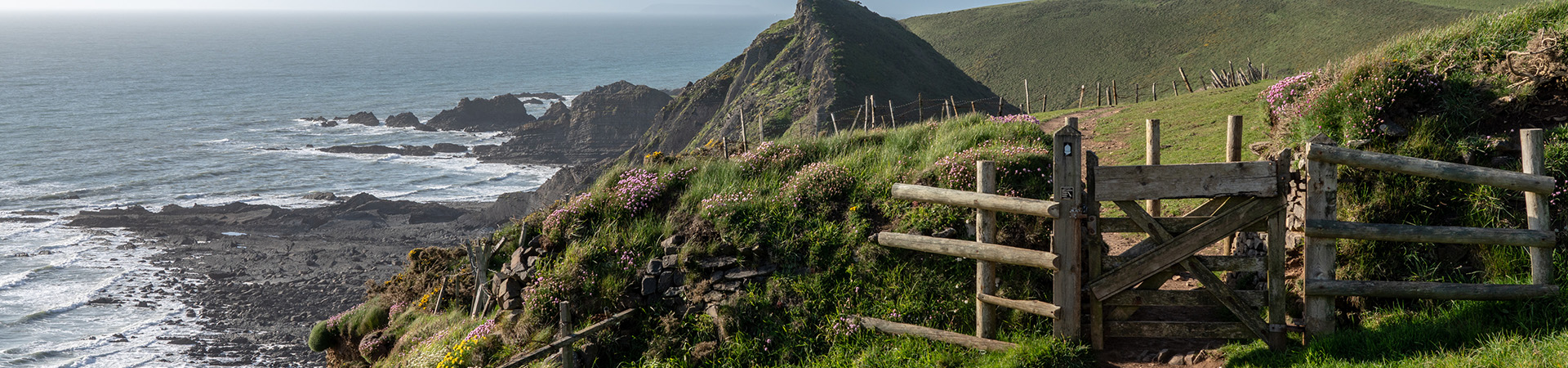 Hartland Cottages