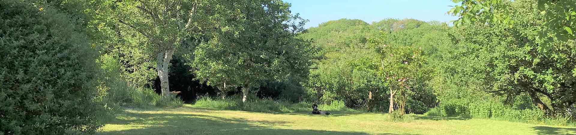 Sutcombe Cottages